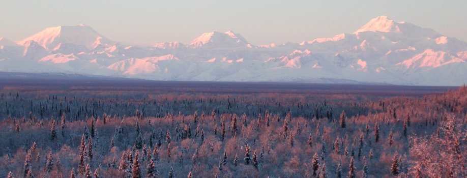 The Alaska Range in winter